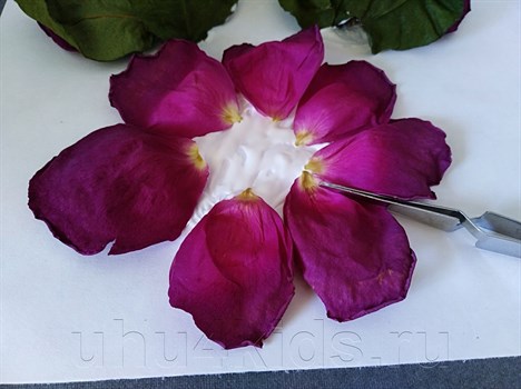 Самые простые способы высушивания лепестков роз в домашних условиях